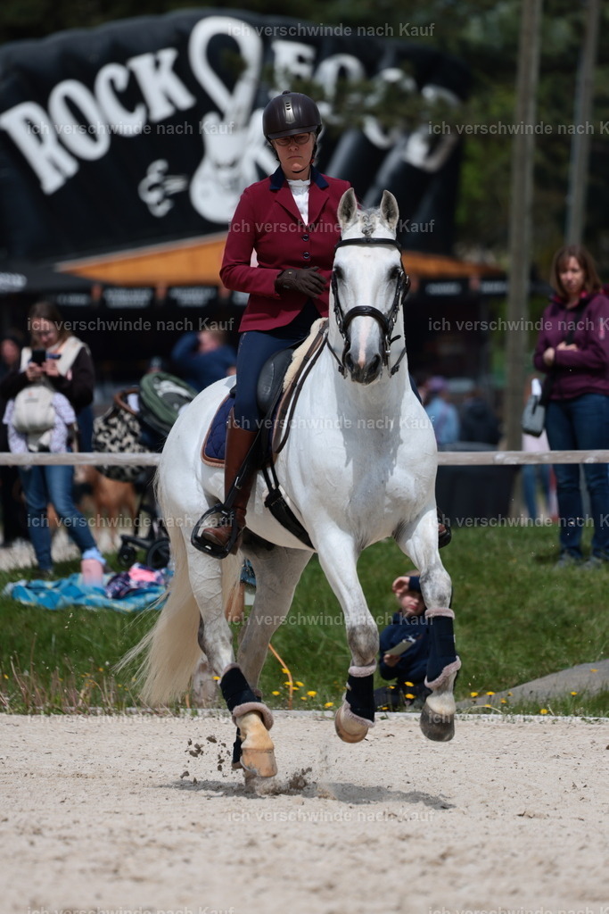 PI26_ST_StoibphotographyC2_L8324.JPG | working equitationturnier fotograf videograf stoibphotography marixx film working equitation deutschland reitsport turnierfotografie eventfotografie equestrian events