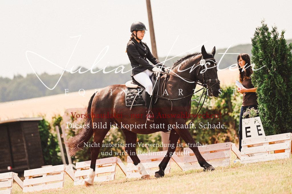 DSC_6265 | Pferde- und Turnierfotografie in Westsachsen. Pferdeportraits, Auftragszeichnungen und intuitive Kunst.