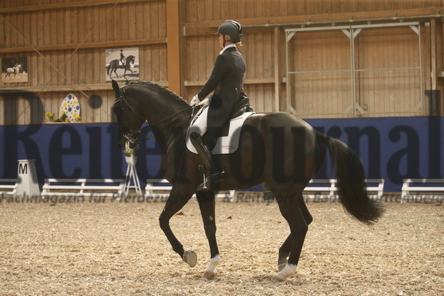Turnier_Zeutern_2022_Prfg.Nr.02_Kurz-GrandPrix_Petra van Esch_Fiftyfifty 3 (10) | Alle Fotos der Reiterjournal Fotografin Doris Matthaes im Reiterjournal Online-Fotoshop. - Realisiert mit Pictrs.com