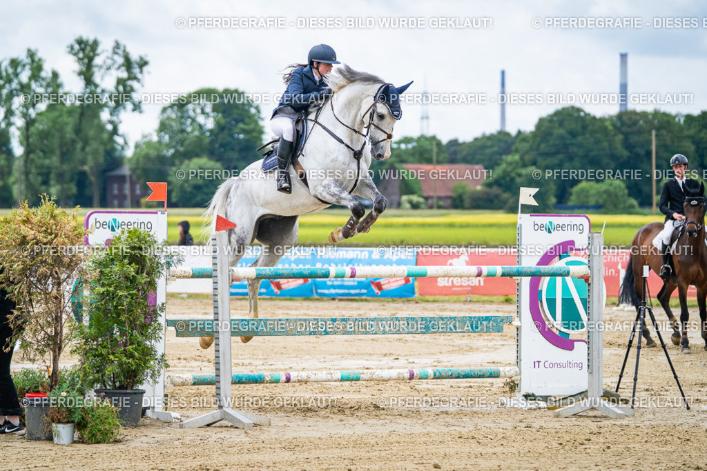 DSC04692 | Pferdegrafie