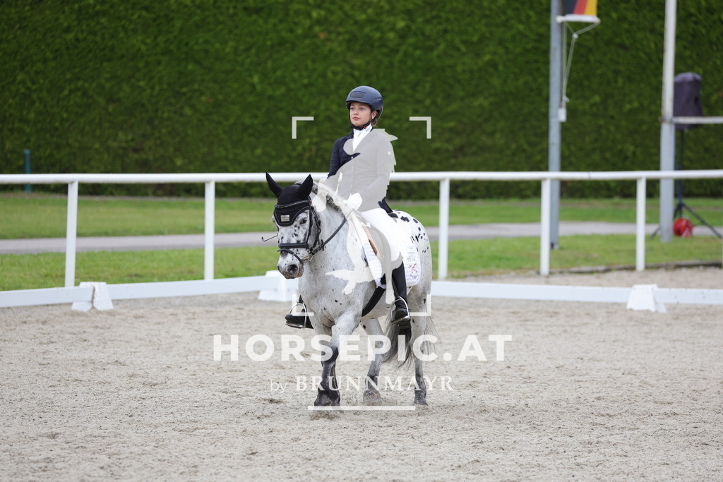 0P6A5607 | Willkommen bei Brunnmayr - Design & Fotografie – Ihrem Spezialisten für Reitturniere und Pferdeveranstaltungen in Oberösterreich, Salzburg und Bayern! Seit über 17 Jahren sind wir leidenschaftlich dabei.