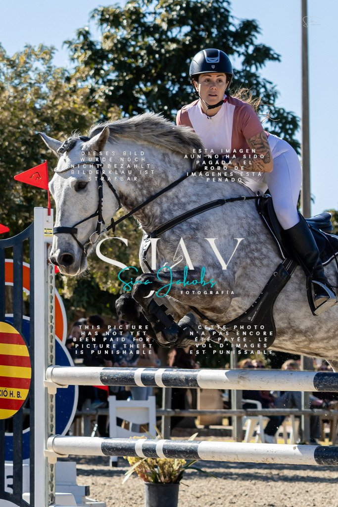 IMG_1144 | s-jay-photography - Realisiert mit Pictrs.com