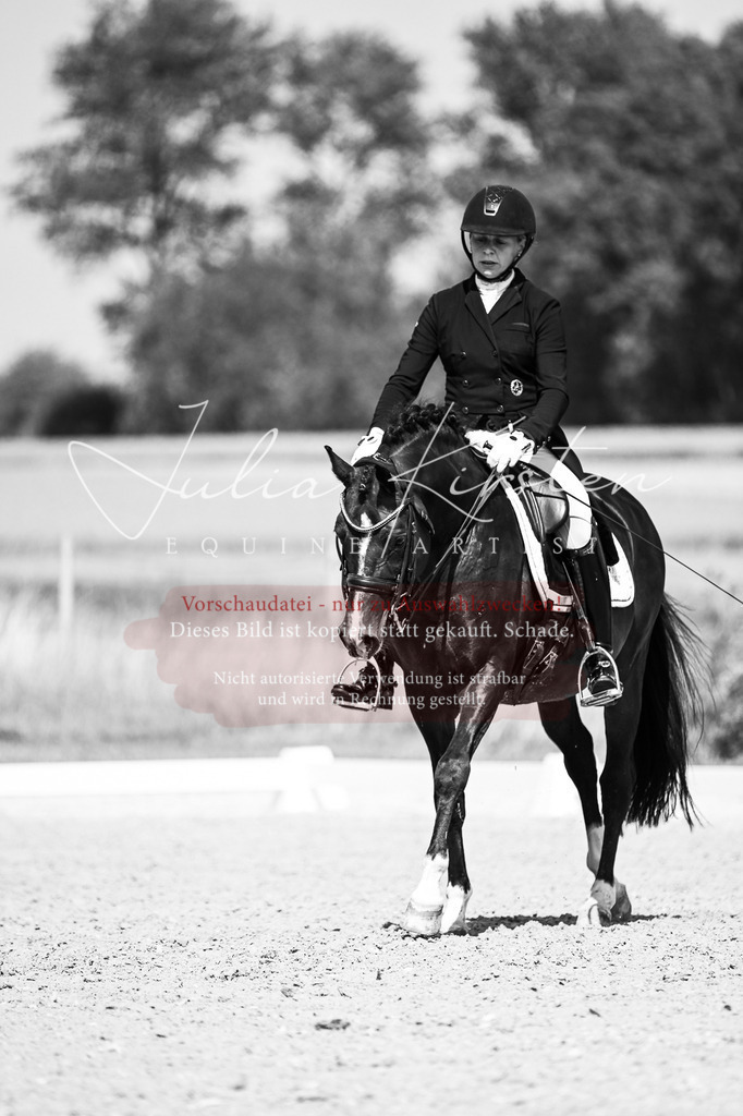 DSC_2941 | Pferde- und Turnierfotografie in Westsachsen. Pferdeportraits, Auftragszeichnungen und intuitive Kunst.