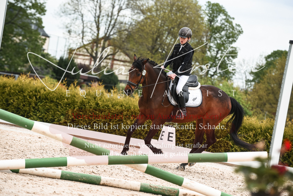 20230518_JK-Röhrsdorf-10-702 | Pferde- und Turnierfotografie in Westsachsen. Pferdeportraits, Auftragszeichnungen und intuitive Kunst.