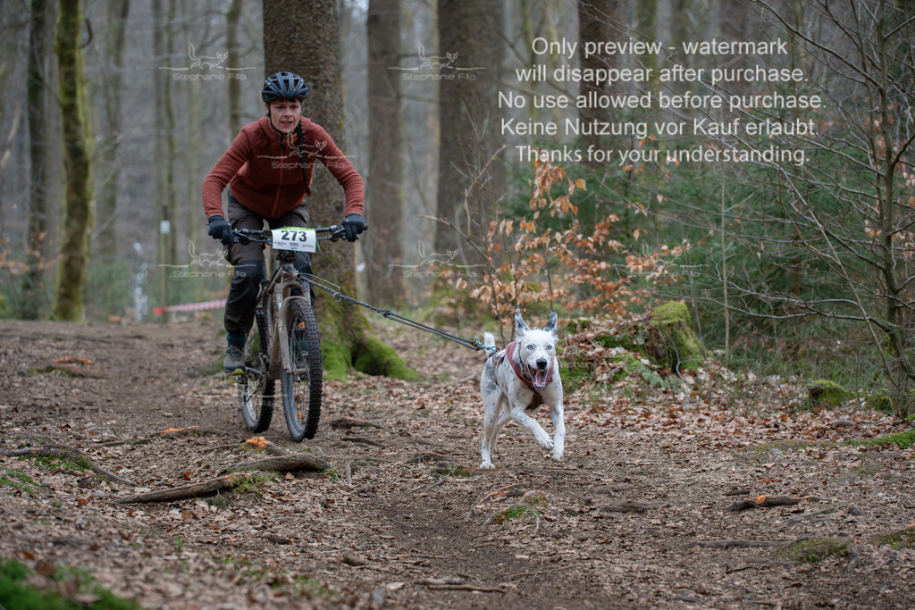 Bike_So-152 | stephaniefillaphotographie - Realisiert mit Pictrs.com