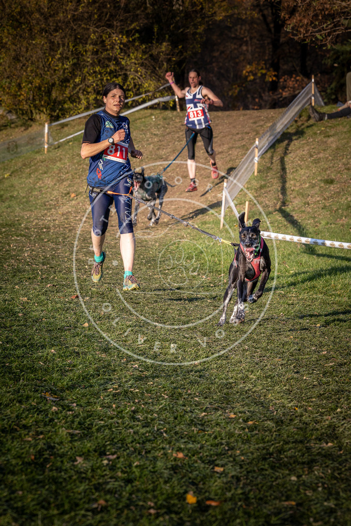 CaniXpix_0L8A0444 | Hundefotografie, Tierfotograf, Pfotenfotografie, Fotoshooting Hund, Hunde Portrait, Hundesport, Hundeportraits, Heideshooting, Hunde, Sportfotograf, Hundefotograf, Turnierhundsport, THS,  - Realisiert mit Pictrs.com