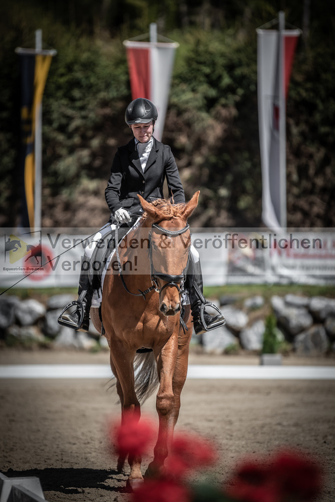 DSC_0137 | equestrian-live-com