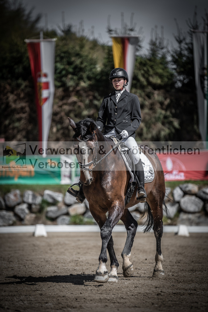 DSC_0395 | equestrian-live-com