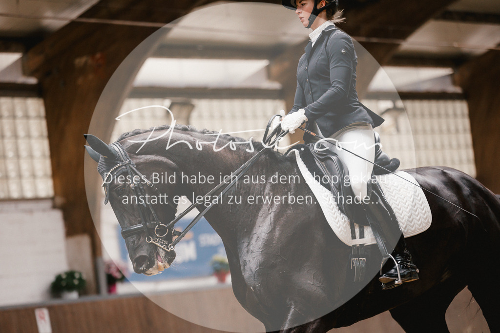 3I6A9000 | Stimmungsvolle Portraits und Reitsportfotografie im Ruhrgebiet und im Münsterland.

Pferdefotografie, Hundefotografie, Tierfotografie, Reportagen, Portraits von Tier und Mensch, Turnierfotografie in Bochum, Recklinghausen, Marl, Haltern am See, Dülmen.. - Realisiert mit Pictrs.com