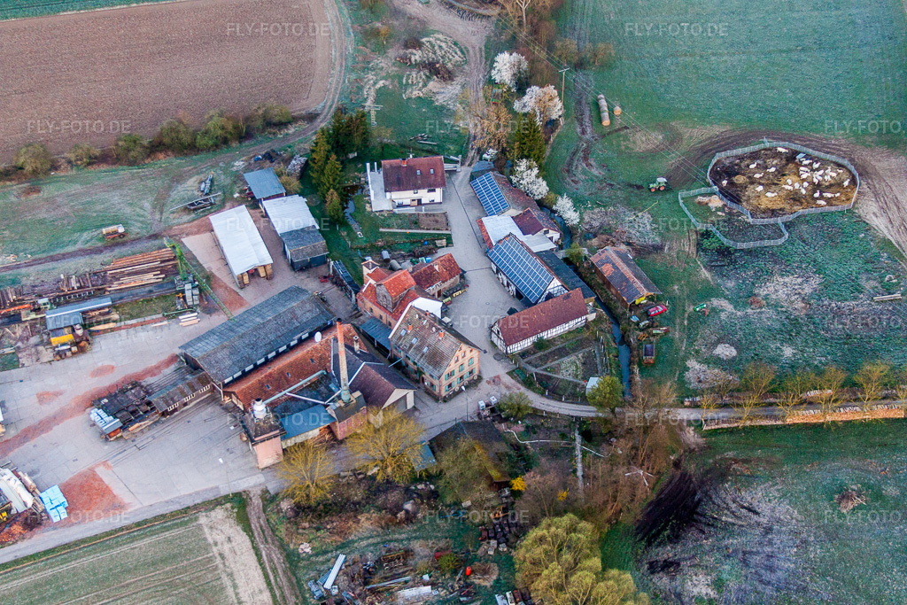 Luftbild: Schaidter Mühle mit Holzwerk ORTH Gerd Sütterlin e.K. am Rhein im Ortsteil Schaidt in Wörth im Bundesland Rheinland-Pfalz in Deutschland. Foto: IMG_63037.jpg vom 20.03.2014 durch Werner Riehm/FLY-FOTO.de
