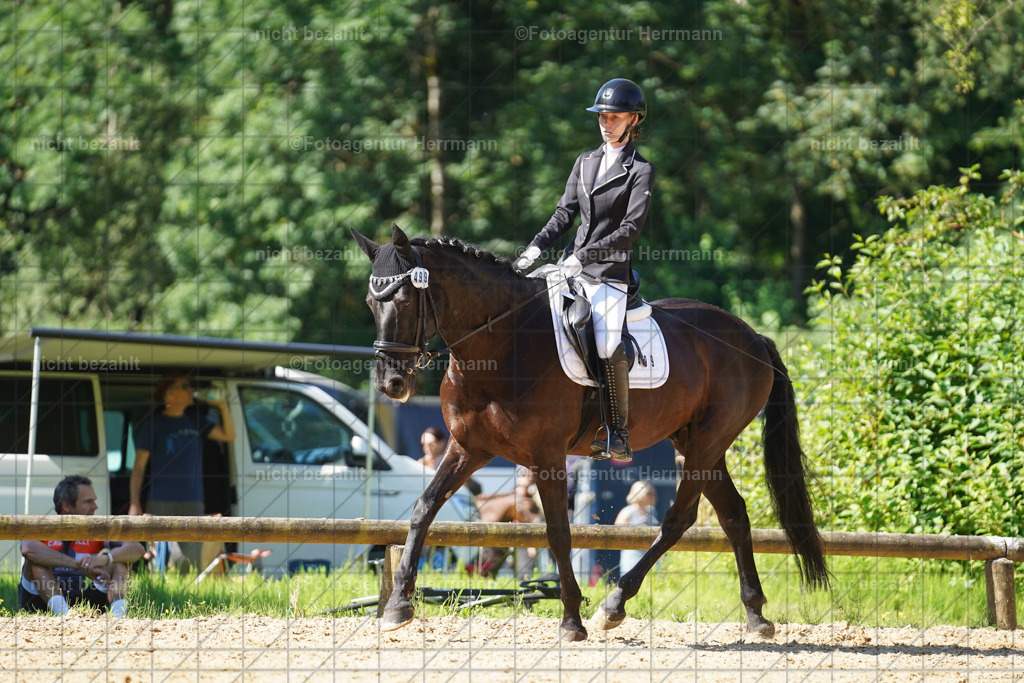 20240706-FAH04899 | Grafing Turnierfotos, Reitverein Ebersberg, Turnierfotografen Bayern, reitsportbilder, Pferdefotograf, reitsportfotograf, Sportbilder, Reitsportfotografie, Fotoagentur Herrmann, Turnierfotograf