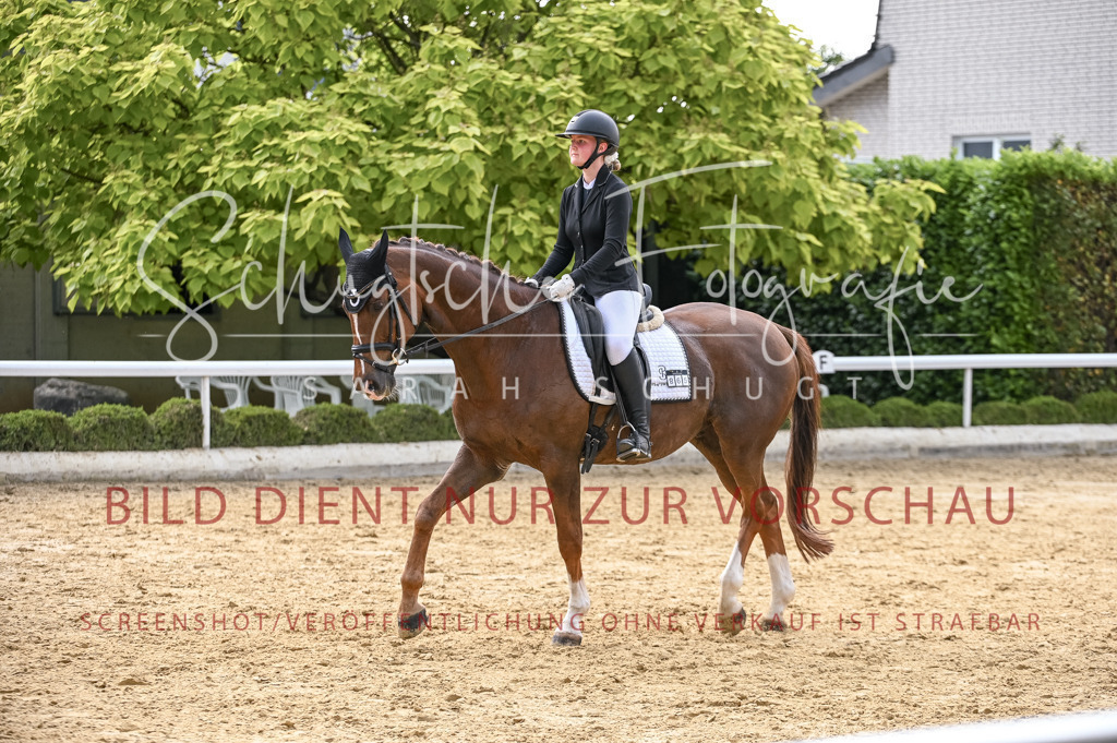 Schugtsche-Aluta25-55.Dressurreiterprf.L1Tr-225 | Schugtsche Fotografie - Realisiert mit Pictrs.com