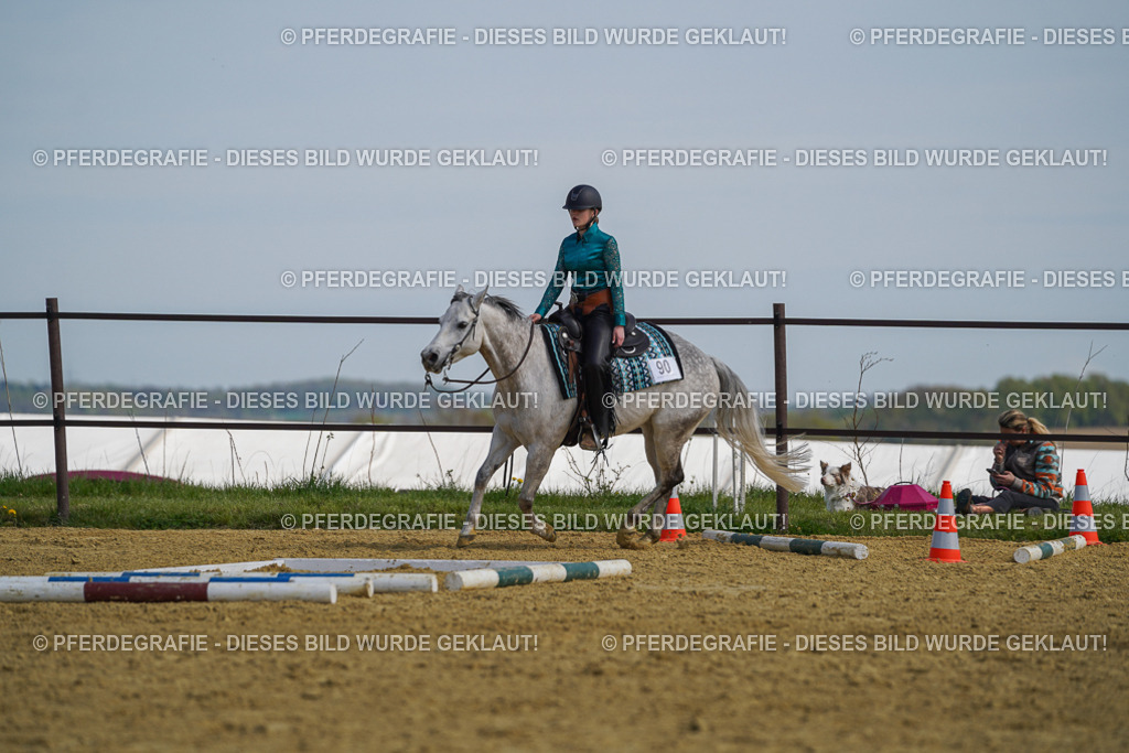 DSC04626 | Pferdegrafie