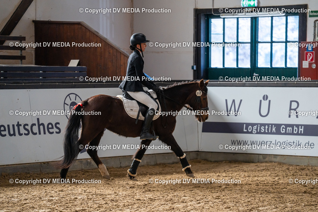 Kranichstein Tag 2-811 | dv-media-shop - Realisiert mit Pictrs.com