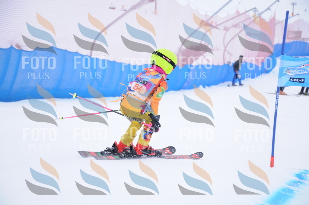 DSC_7949 | holidayphoto