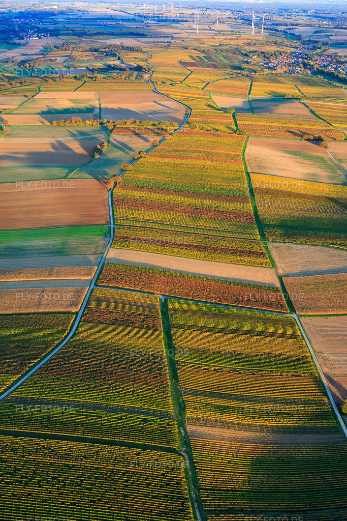 Luftbild: herbstlich gerfärbte Weinberge zwischen Dierbach und Oberhausen in Oberhausen im Bundesland Rheinland-Pfalz in Deutschland. Foto: IMG_150389.jpg vom 15.10.2025 durch Werner Riehm/FLY-FOTO.de