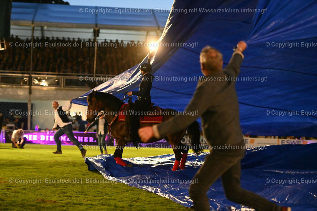 20230526_Pferdenacht_1069 | equistock