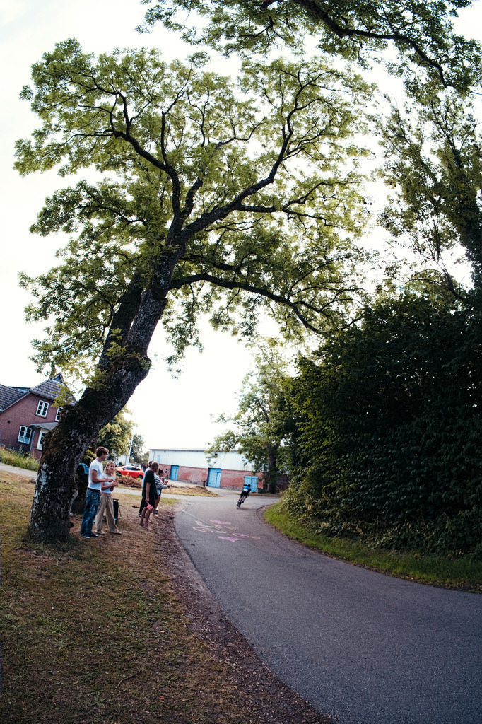 Weeser Fan Kurve 2026-442 | dp-photography - Realisiert mit Pictrs.com