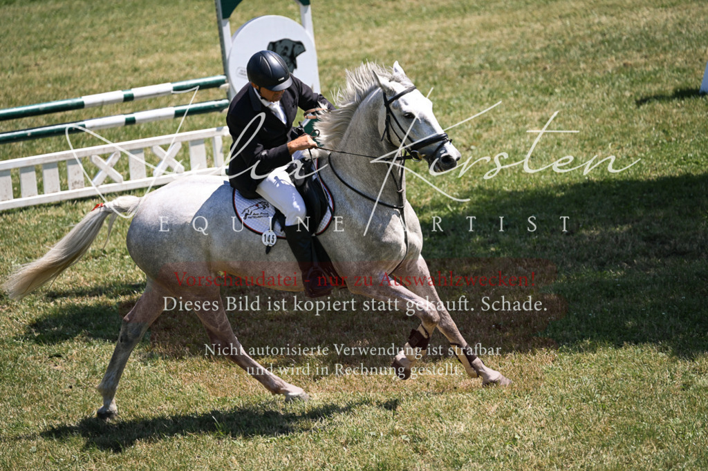 DSC_9990 | Pferde- und Turnierfotografie in Westsachsen. Pferdeportraits, Auftragszeichnungen und intuitive Kunst.