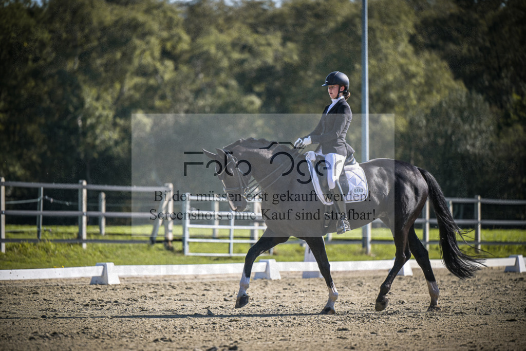 DOS_2386 | Entdecke hochwertige Reitturnierfotos von Foto Oger. Professionell, emotional und authentisch – jetzt Lieblingsmomente im Shop bestellen.Deutschlandweite Turnierfotografie. - Realisiert mit Pictrs.com