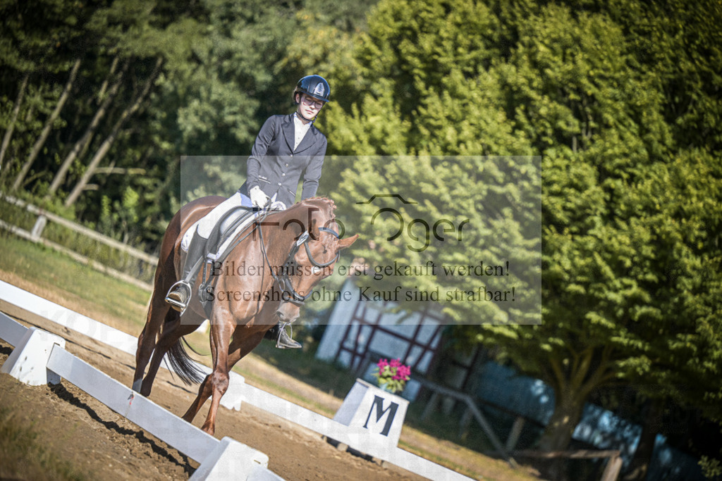 DOS_2144 | Entdecke hochwertige Reitturnierfotos von Foto Oger. Professionell, emotional und authentisch – jetzt Lieblingsmomente im Shop bestellen.Deutschlandweite Turnierfotografie. - Realisiert mit Pictrs.com