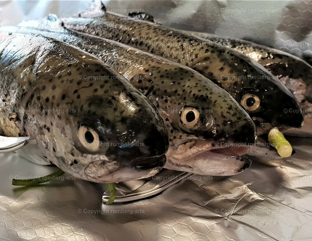 Fischköpfe | Fische, Fischköpfe, servierter Fisch, Forelle, zubereitete Forelle, Fischessen, Fischrestaurant