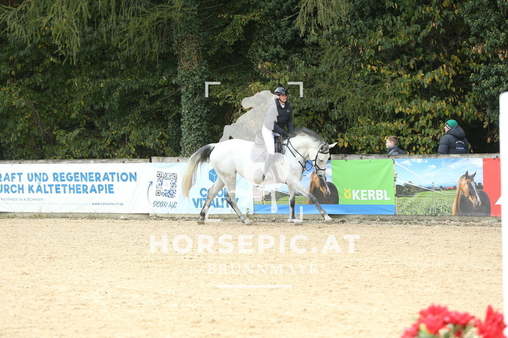 DL2Q6098 | Willkommen bei Brunnmayr - Design & Fotografie – Ihrem Spezialisten für Reitturniere und Pferdeveranstaltungen in Oberösterreich, Salzburg und Bayern! Seit über 17 Jahren sind wir leidenschaftlich dabei.