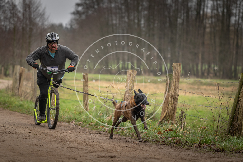 Pfotenfotografie_DV3A2577 | Hundefotografie, Tierfotograf, Pfotenfotografie, Fotoshooting Hund, Hunde Portrait, Hundesport, Hundeportraits, Heideshooting, Hunde, Sportfotograf, Hundefotograf, Turnierhundsport, THS,  - Realisiert mit Pictrs.com