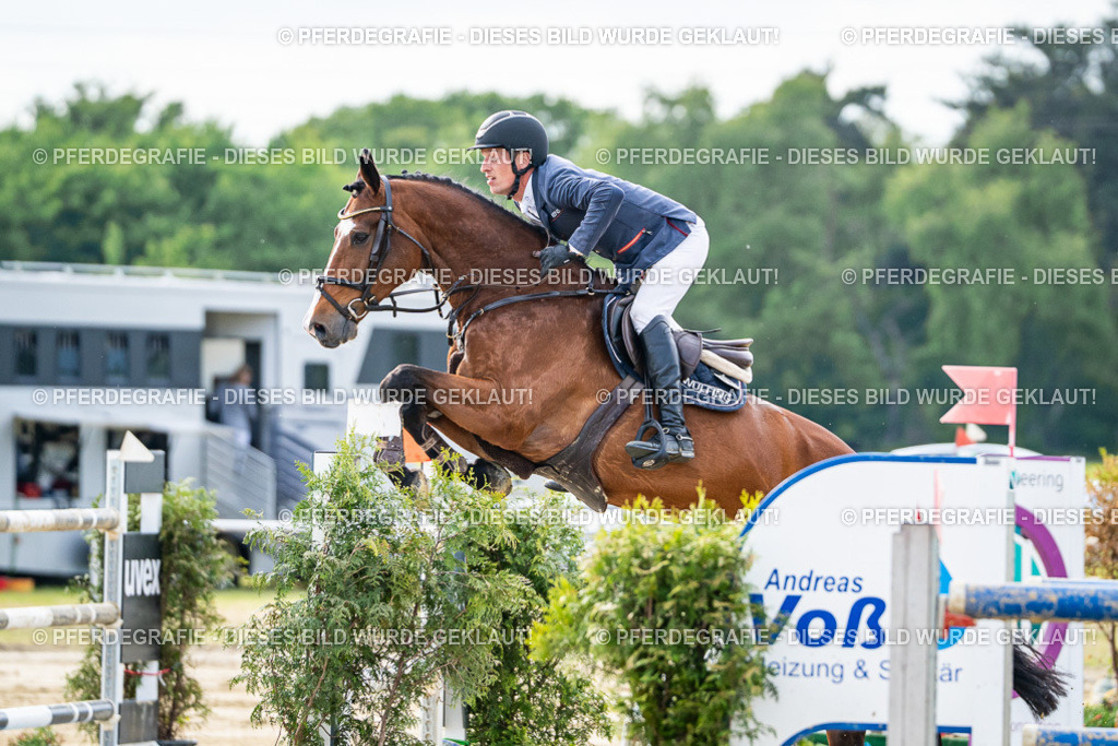 DSC07418 | Pferdegrafie