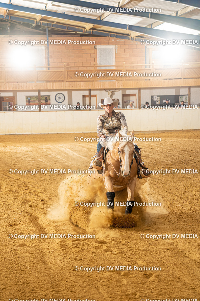 MIT00470 | dv-media-shop - Realisiert mit Pictrs.com