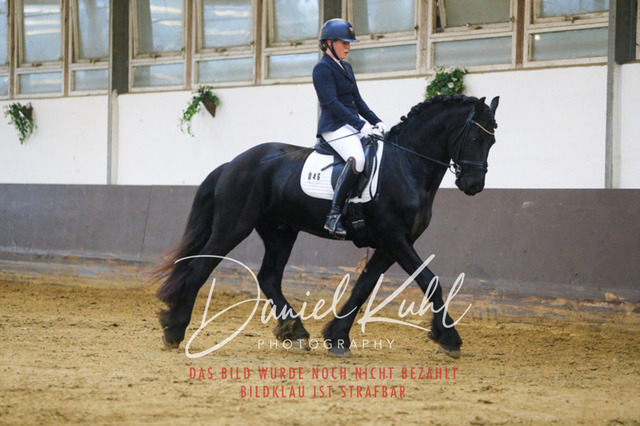 IMG_7908 | Turniersportfotografie; Pferdefotografie; Dressurfotografie