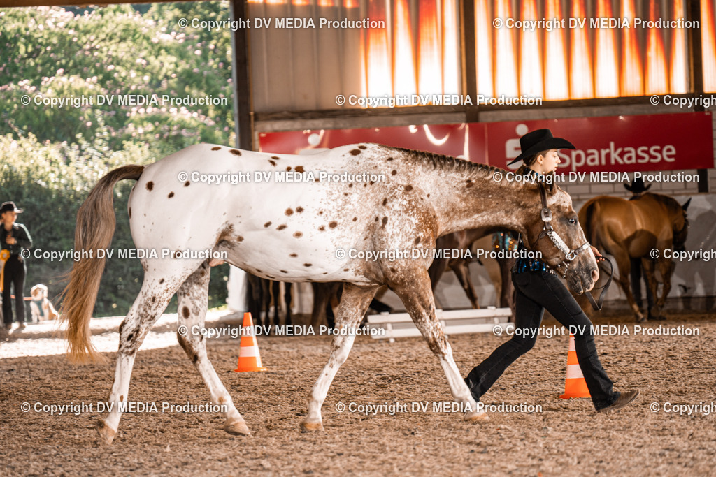 ZH100060 | dv-media-shop - Realisiert mit Pictrs.com