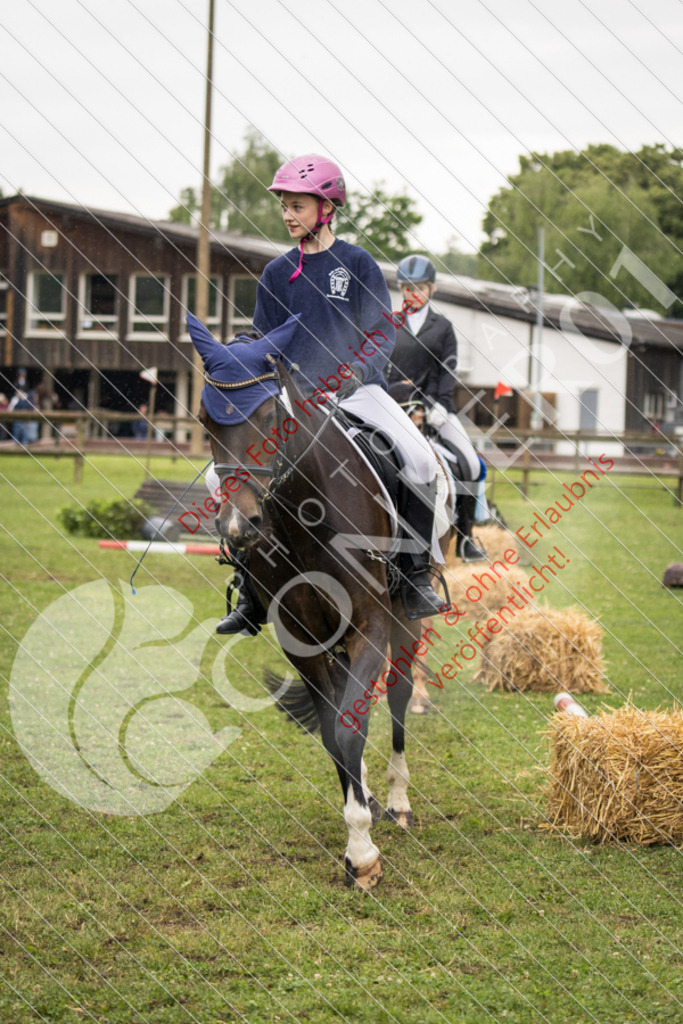 IMG_7999 | Sport-, Event- und Tierfotos in Profiqualität. Einfach auswählen, bestellen und herunterladen. Dein Moment – perfekt festgehalten.