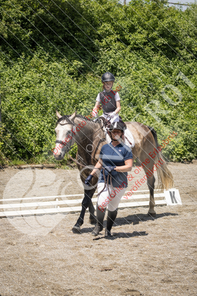 IMG_3430 | Sport-, Event- und Tierfotos in Profiqualität. Einfach auswählen, bestellen und herunterladen. Dein Moment – perfekt festgehalten.
