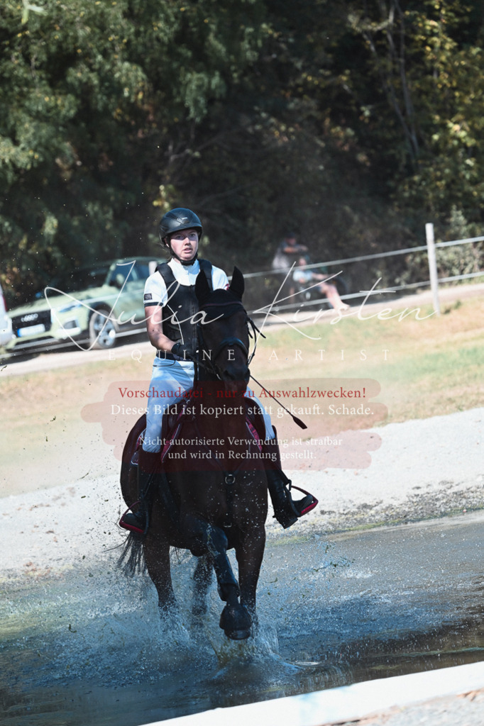DSC_8566 | Pferde- und Turnierfotografie in Westsachsen. Pferdeportraits, Auftragszeichnungen und intuitive Kunst.