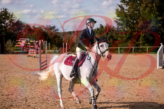 2026_10_03_Siefer-Hof_155139_Z81_70821148 | Professionelle Reitsport-, Turnier- und Eventfotografie von Robert Broda. Galerien mit ausgewählten und bearbeiteten Bildern direkt online ansehen und bestellen.