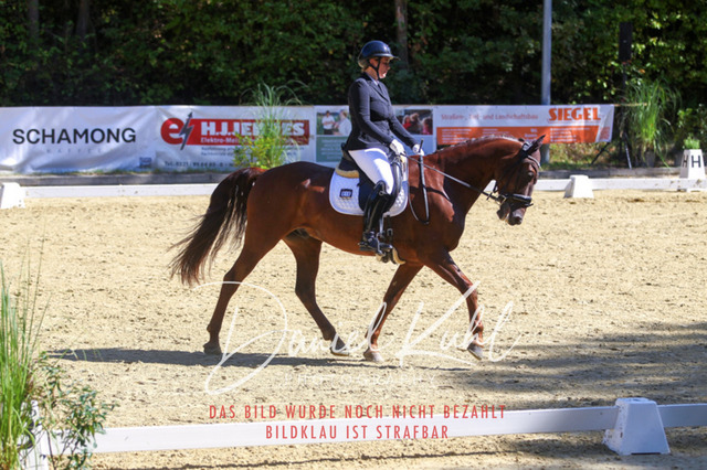 DKP42047 | Turniersportfotografie; Pferdefotografie; Dressurfotografie