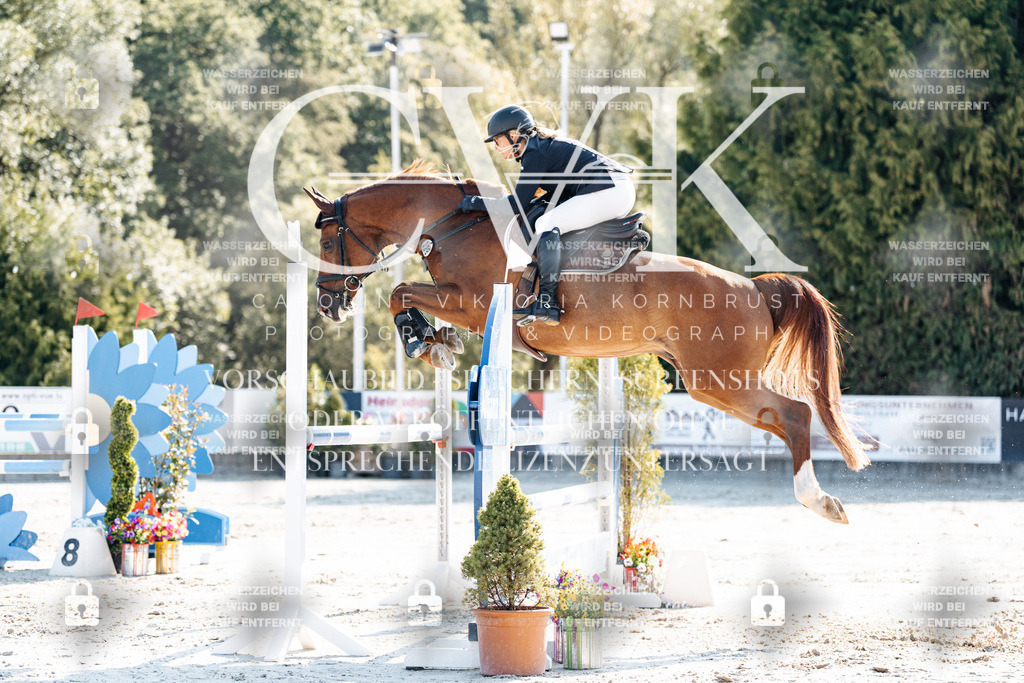 CK902005 | Turnierfotografie Pferdefotografie Trier Rheinland-Pfalz Pferdesport Reitsport Tierfotografie Sportfotografie Pferdevideo Pferdevideografie Equestrianvideography equestrianphotography  - Realisiert mit Pictrs.com
