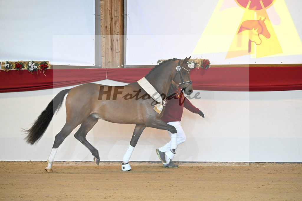 Kat-Nr. 1 Alaba_Wilbers_1231632 | hf-fotografie - Realizzato con Pictrs.com