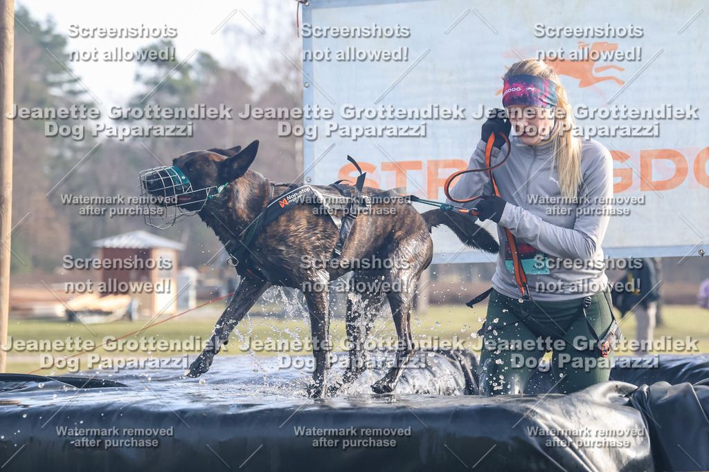 Dog Paparazzi - Strongdog North Mrz26-102 | Dog Paparazzi Jeanette Grottendiek Fotografie & Videografie - Realisiert mit Pictrs.com