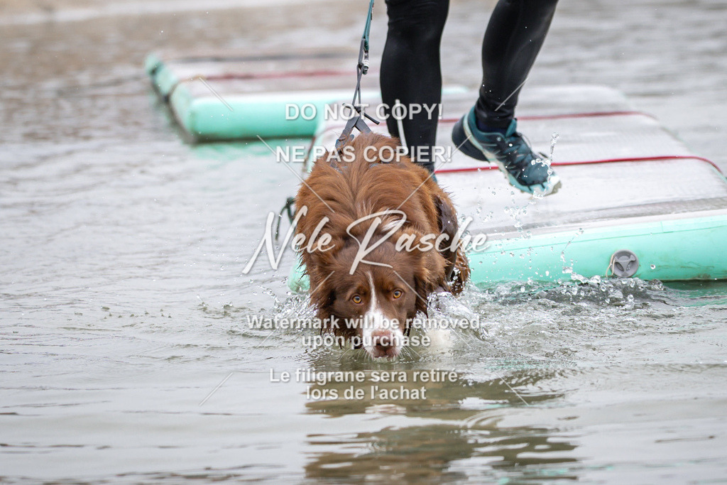 nelerasche_Hulsbeek_Sa0845-1030_581 | nelerasche