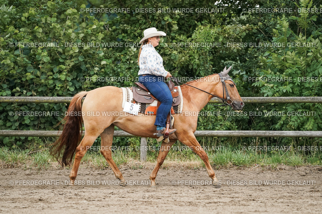 DSC04015 | Pferdegrafie