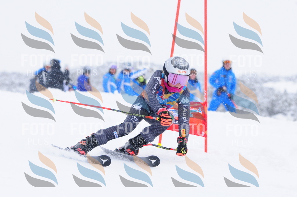 C4049 | holidayphoto