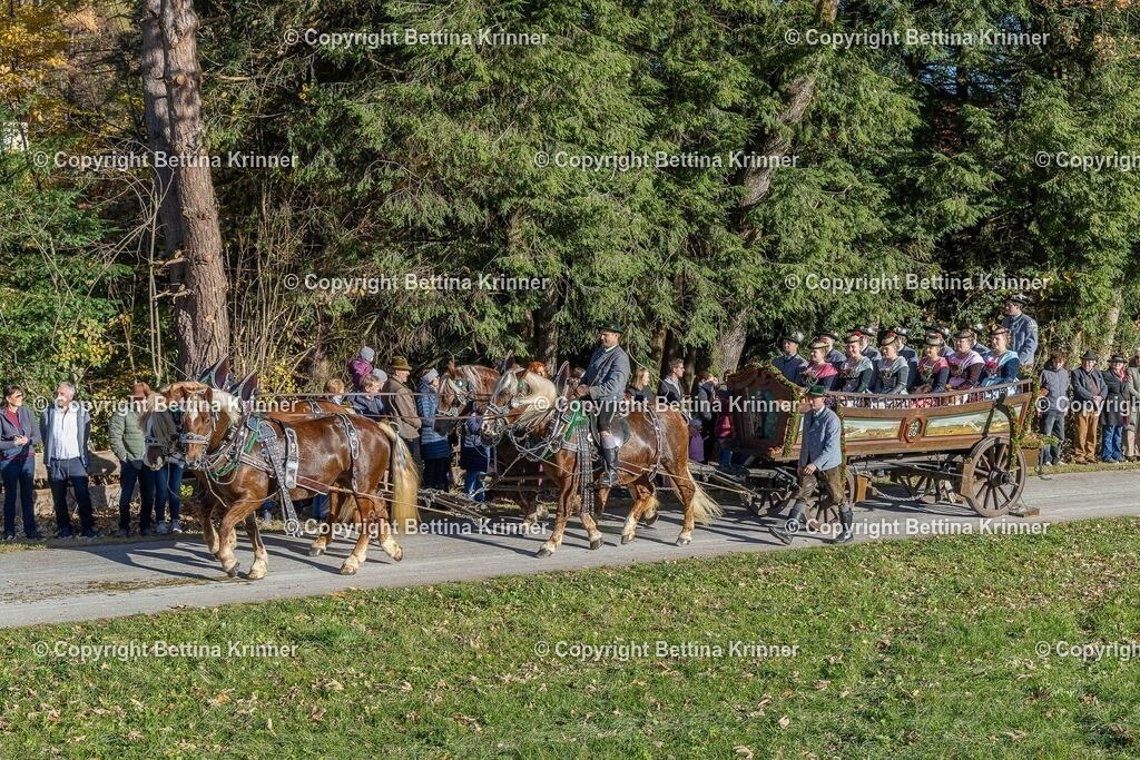 LBT25-333 | foto-bettina-krinner - Realisiert mit Pictrs.com
