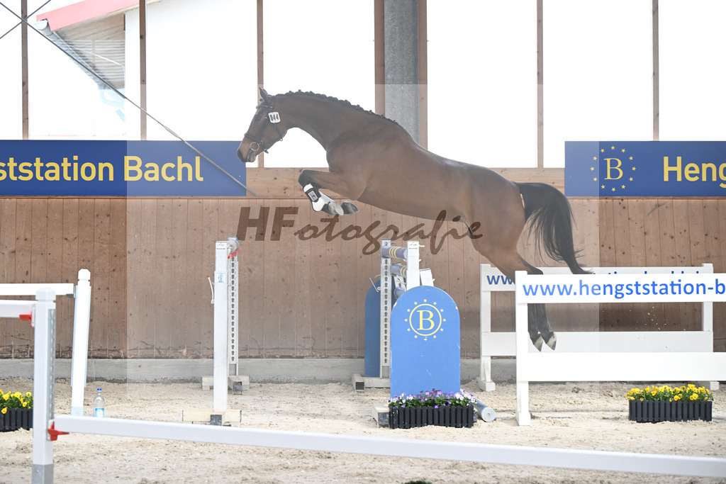 Kat-Nr. 44 Vera Nikotina v. Vingino_Kreutzpointner_5250554 | hf-fotografie - Realisiert mit Pictrs.com