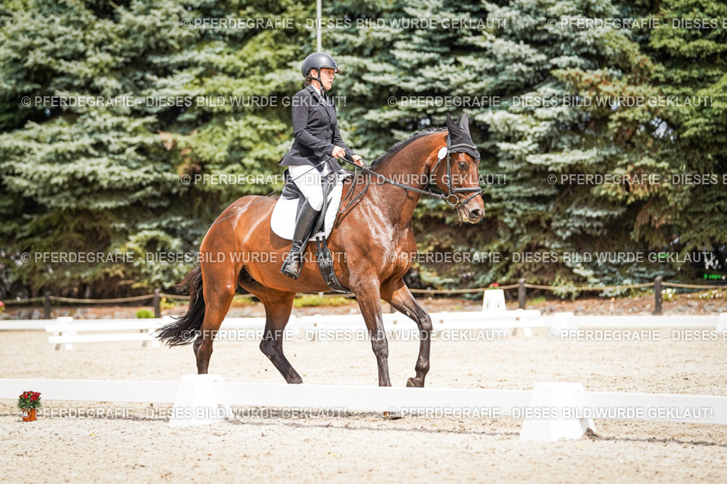 DSC03711 | Pferdegrafie