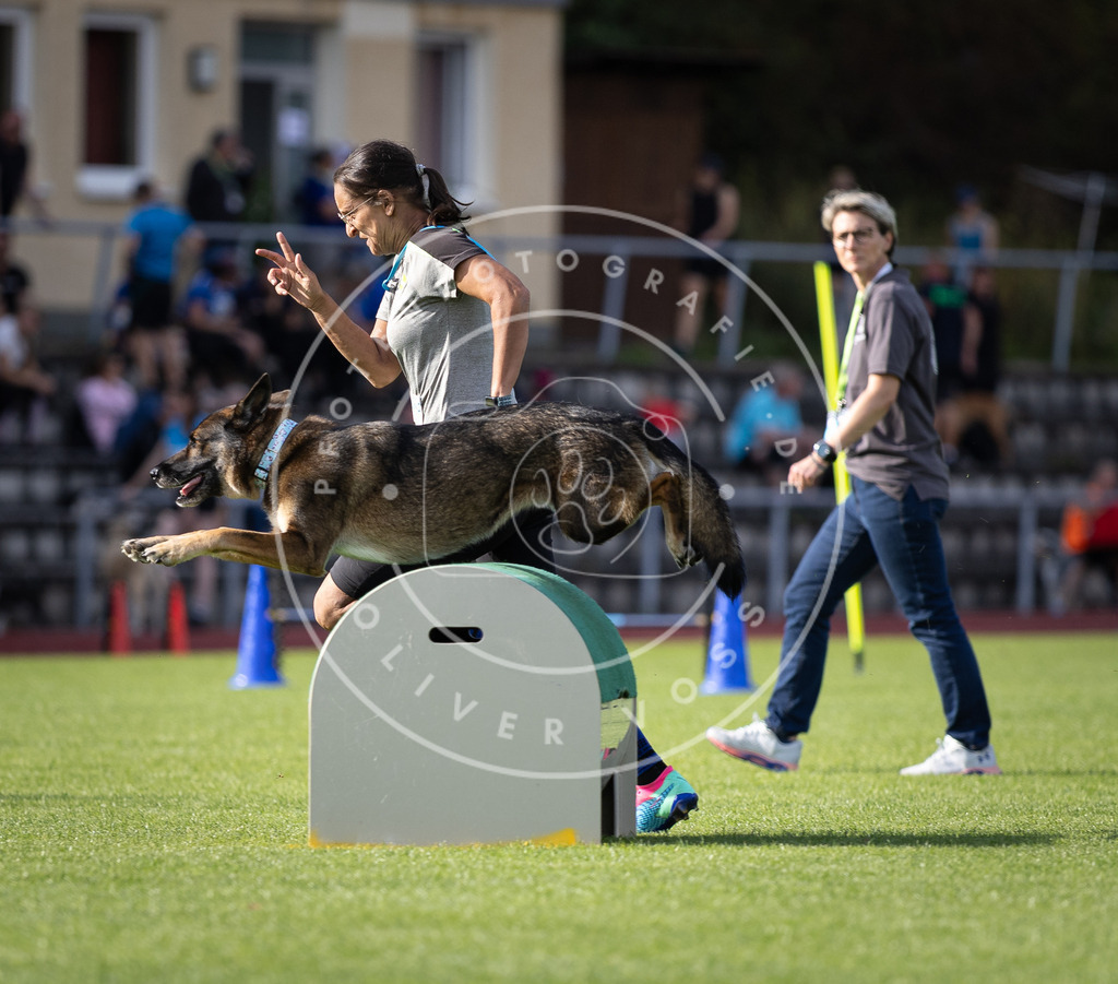 Pfotenfotografie_DV3A2074 | Hundefotografie, Tierfotograf, Pfotenfotografie, Fotoshooting Hund, Hunde Portrait, Hundesport, Hundeportraits, Heideshooting, Hunde, Sportfotograf, Hundefotograf, Turnierhundsport, THS,  - Realisiert mit Pictrs.com