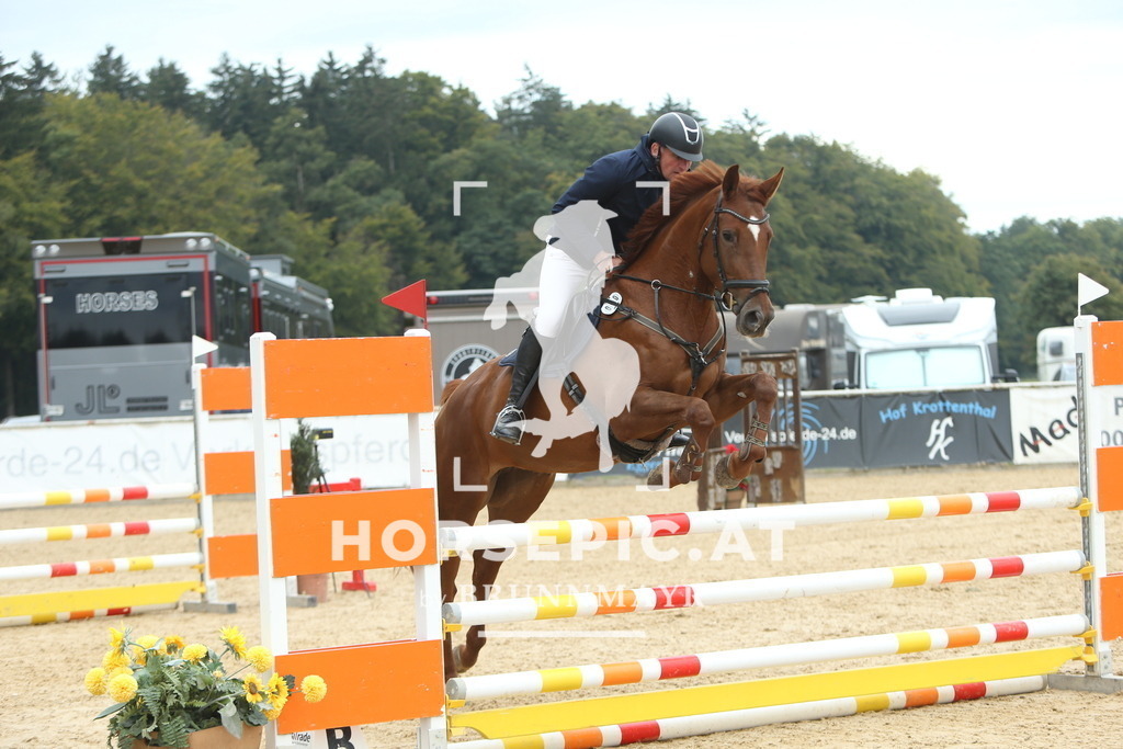 DL2Q6154 | Willkommen bei Brunnmayr - Design & Fotografie – Ihrem Spezialisten für Reitturniere und Pferdeveranstaltungen in Oberösterreich, Salzburg und Bayern! Seit über 17 Jahren sind wir leidenschaftlich dabei.