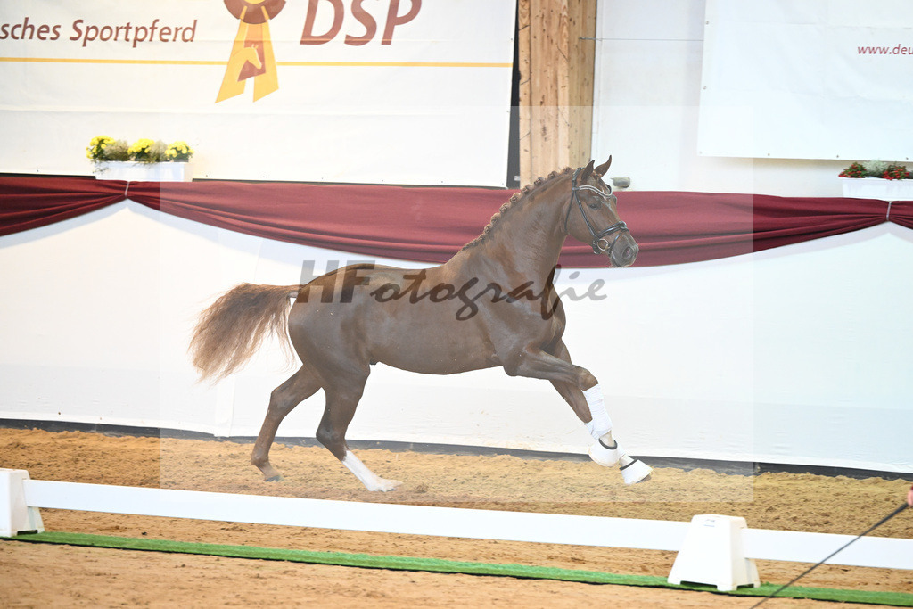 Kat-Nr. 74 v. Le Formidable_Maier_66220349 | hf-fotografie - Realisiert mit Pictrs.com
