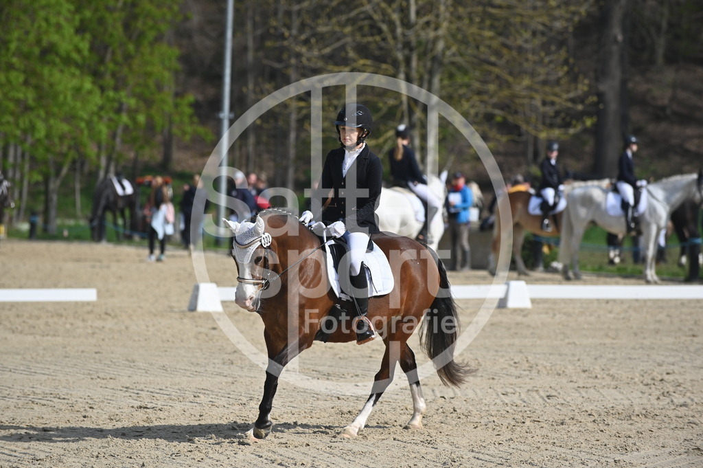 DSC_0499 | sattelsport - Realisiert mit Pictrs.com